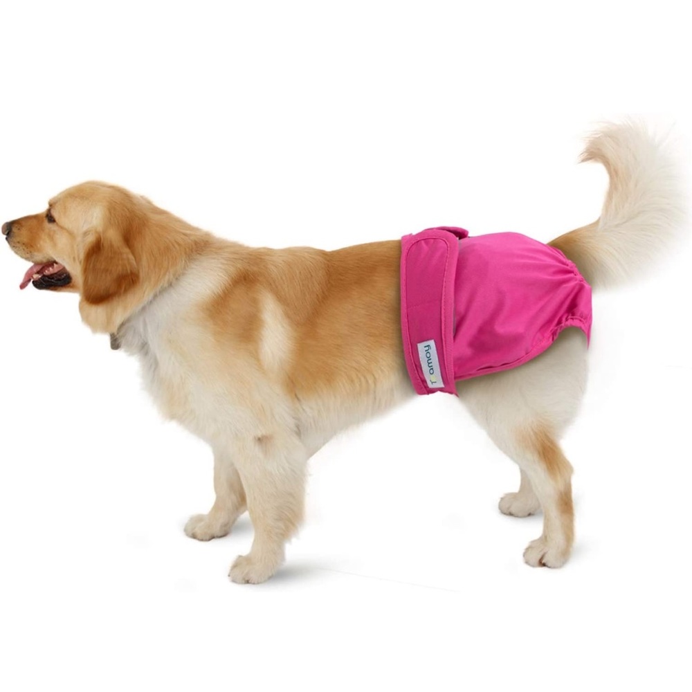 NEW 4PCS Teamoy Dog Diapers Reusable Washable Female Sanitary Dog Pants Size M